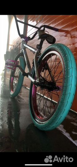 BMX Darko 2015