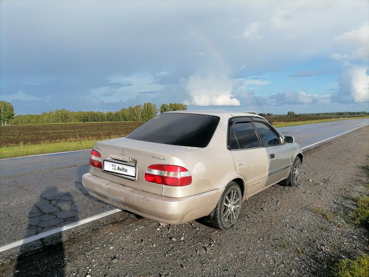 Toyota Corolla: фото владельца