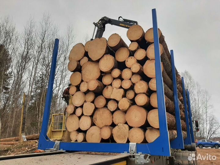 Лес кругляк