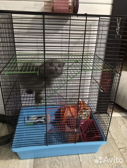 Клетка для грызунов