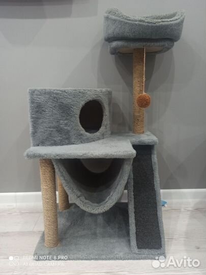 Когтеточка