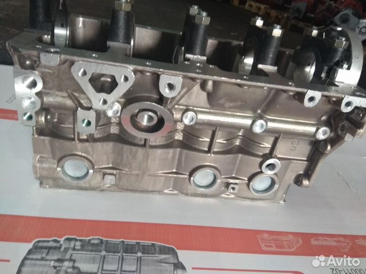 Блок цилиндров на Двигатель умз Evotech