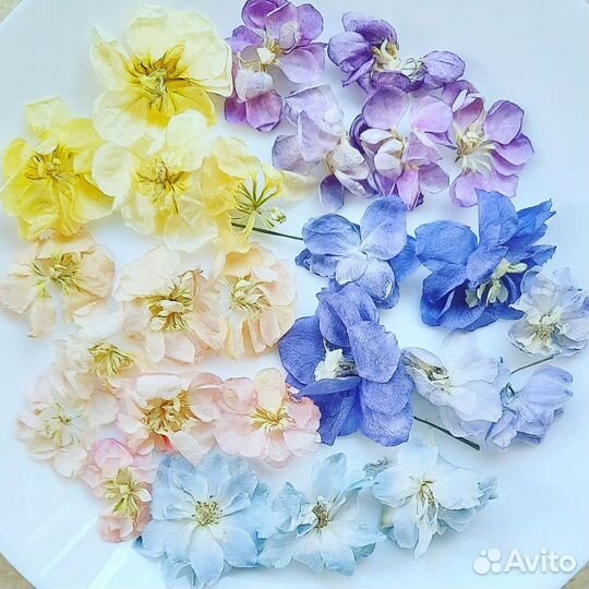 Набор сухоцветов объёмная сушка