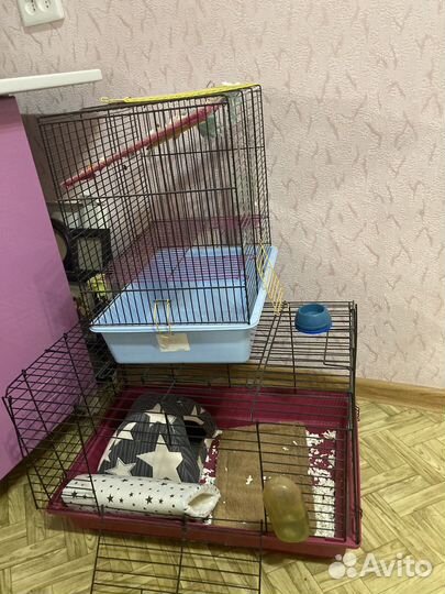 Большая клетка грызунов