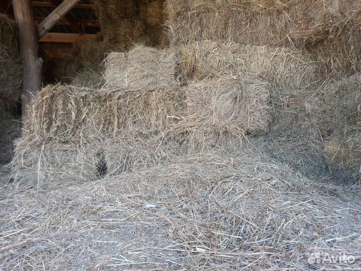 Сено и солома