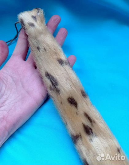 Винтажный галстук из нерпы