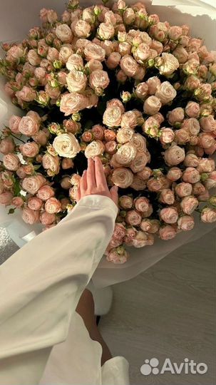 Розы премиум