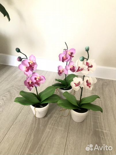 Орхидея фаленопсис. Искуственные)
