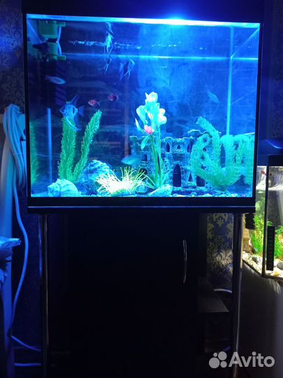 Аквариум