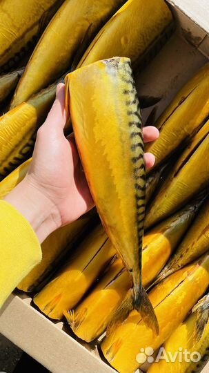 Рыба холодного копчения