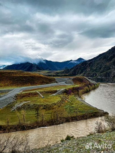 Туры и экскурсии Алтай. Трансфер