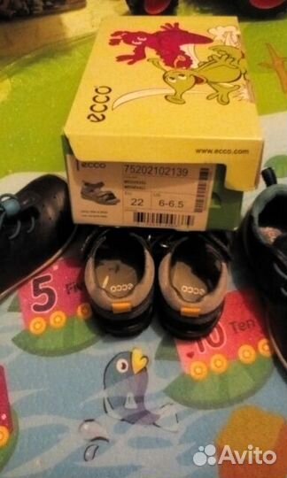 Ecco 22 р