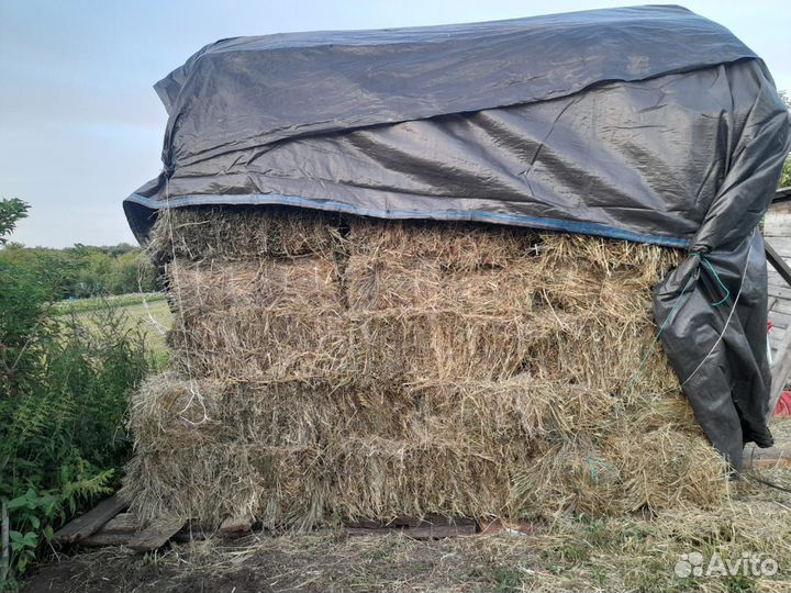 Продам сено в тюках