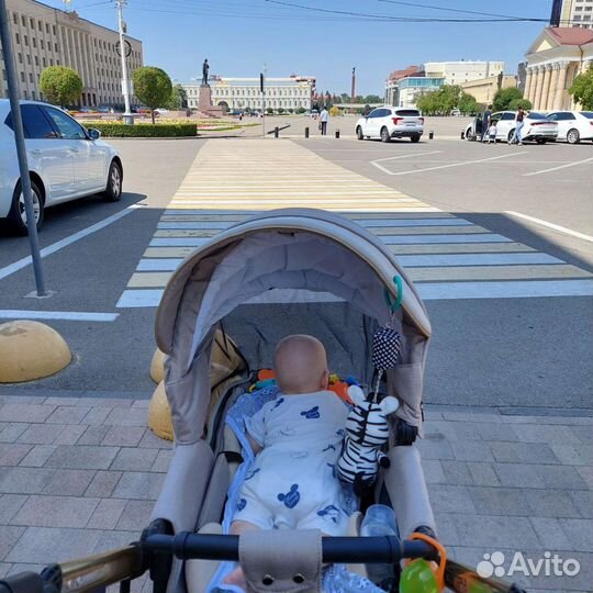 Коляска 2 в 1 adamex cortina