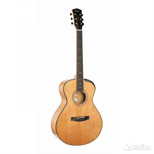 Cort Gold-Passion-wcase-NAT