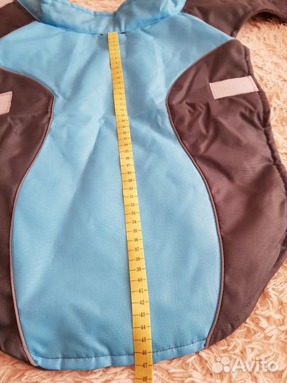 Одежда для собак