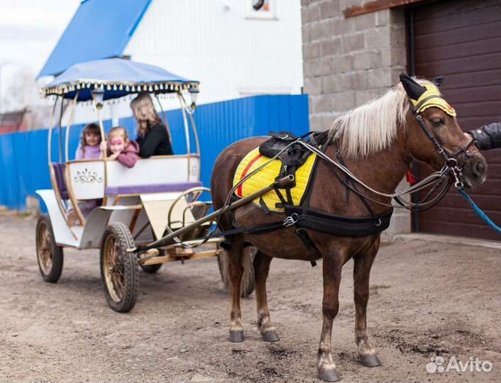 Детский день рождения