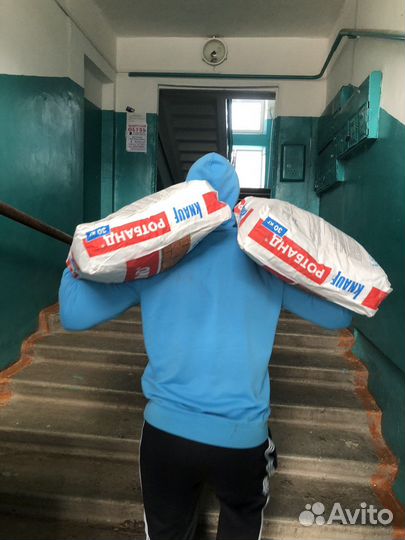 Грузчики/Разнорабочие