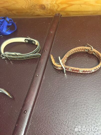 Все для маленькой собачки