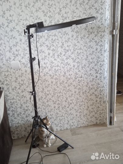 Продажа кольцевой лампы