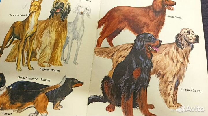 Книги детские в твердой обложке