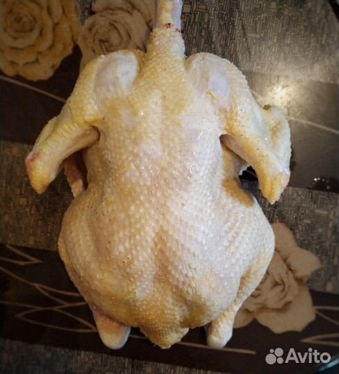 Мясо курицы-бройлер