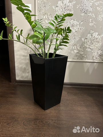 Напольный горшок