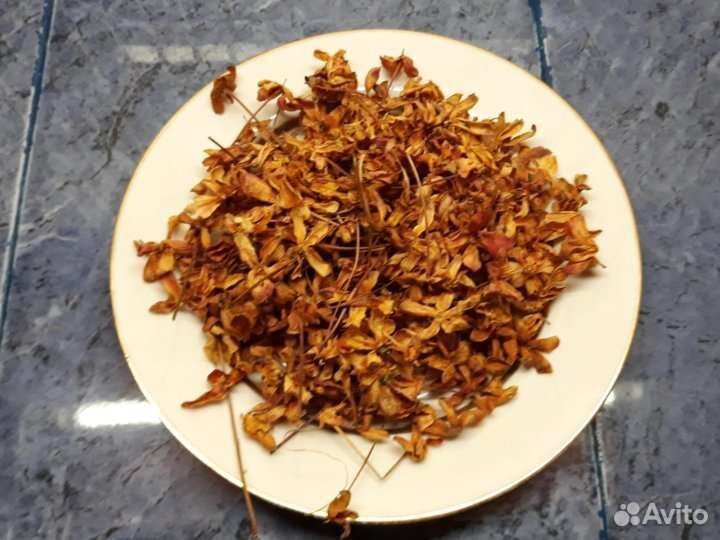 Чашелистики морошки