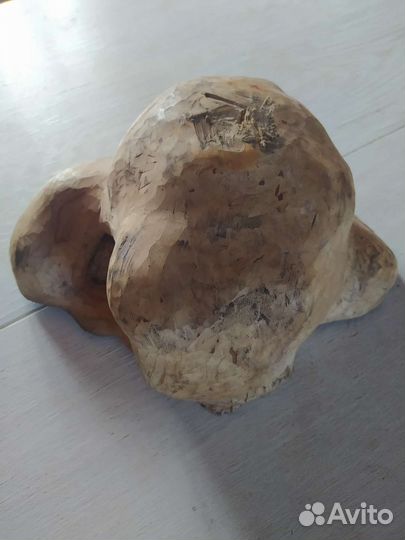 Кап сувель береза