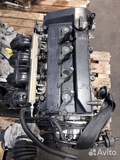 Двигатель ford focus 2.0 aoda 145 лошадей