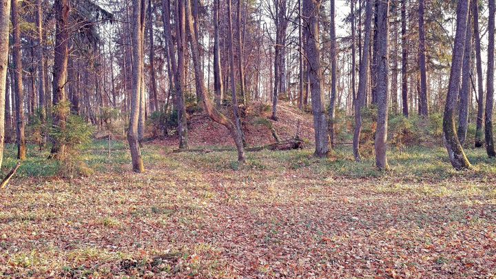 Участок 86 сот. (ИЖС)