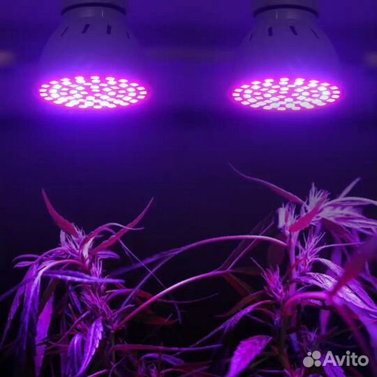 Лампы для растений Фитолампы 48/60/80 светодиодов
