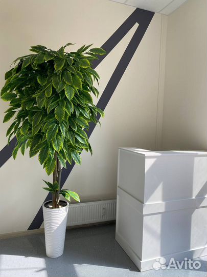 Групповое занятие