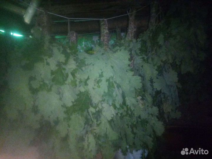 Веники дубовые и берёзовые