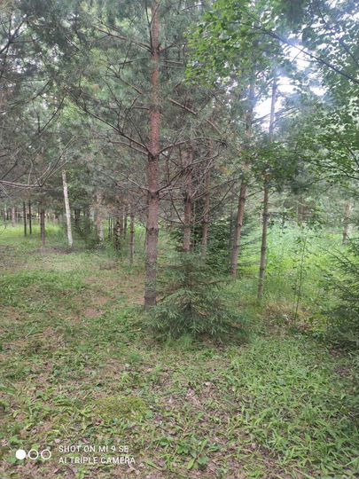 Участок 18 сот. (ИЖС)