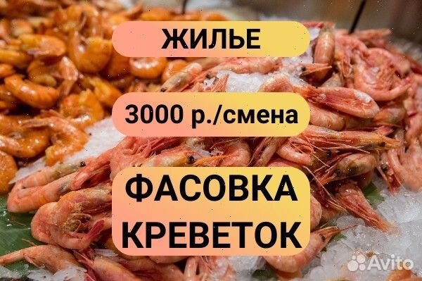 Вахта фасовщик