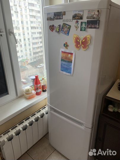 Холодильник бу beko