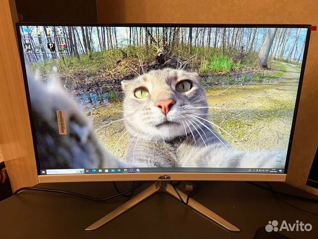 Игровой монитор Asus 144гц 165гц/ 24 дюйма Новый купить в Калининграде ...