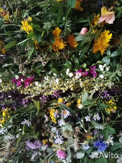 Живой ковёр