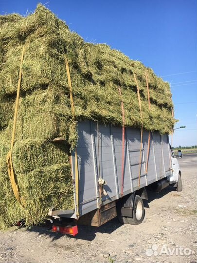 Сено в тюках