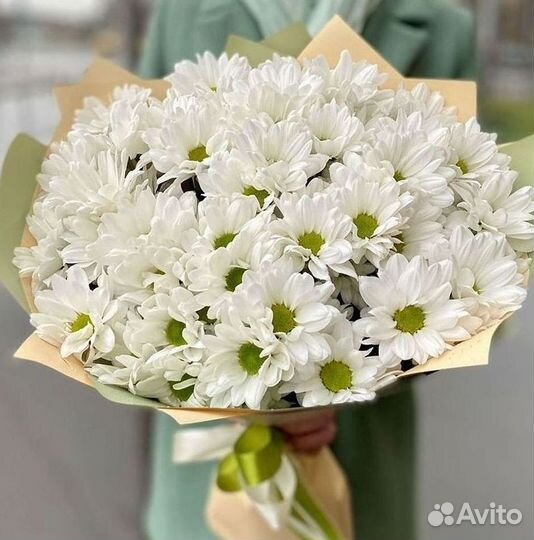 Хризантема. Букеты Цветы доставка