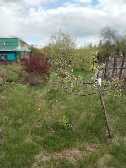 Дача 20 м² на участке 6 сот.