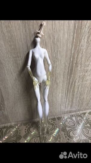 Тело Спектры Монстер Хай