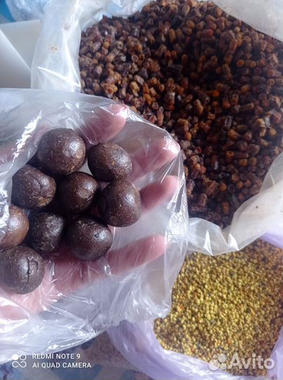 Перга пчелиная