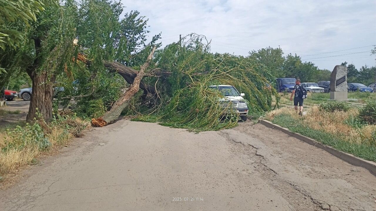 Volkswagen Vento: фото владельца