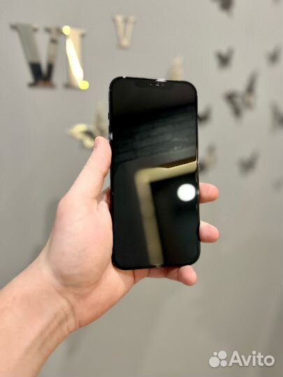 iPhone 12 Pro Max, 256 ГБ