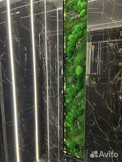 Мох стабилизированный.Озеленение.Декор.Ресторанов