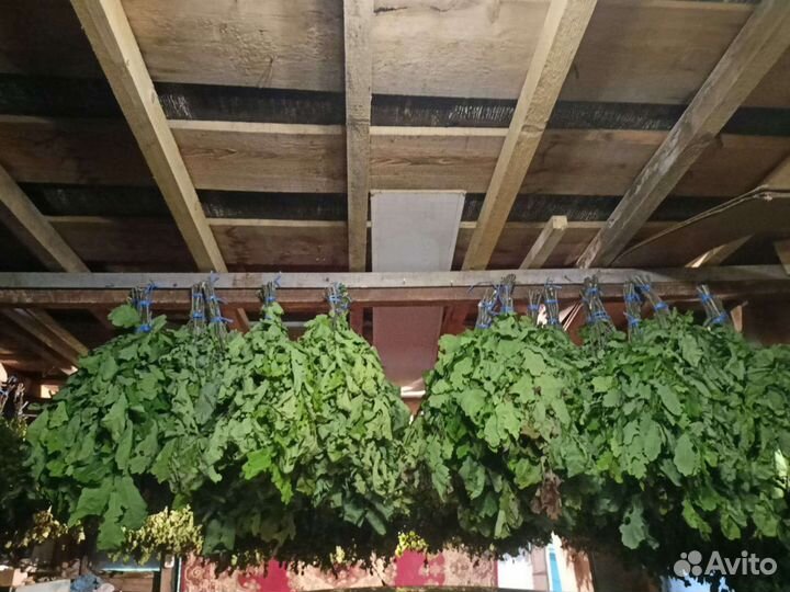 Веники для бани