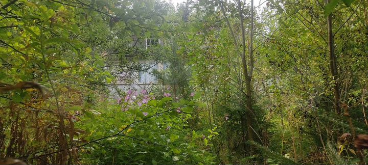 Участок 6,6 сот. (СНТ, ДНП)