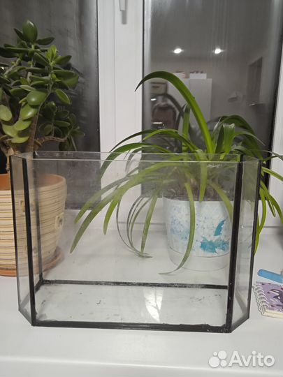 Аквариум 15л